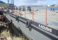 Damen Shipyards Stan pontoon Fuel oil barge 2020, unused