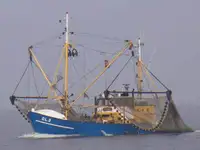 Shrimp Cutter, compl. company due circumstances