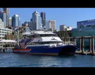 Whale watching catamaran vessel